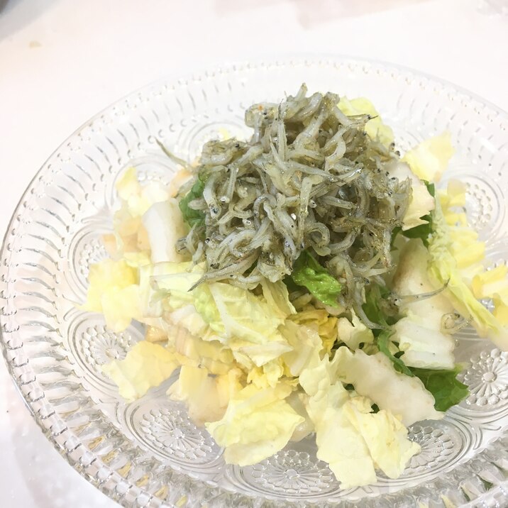 白菜大量消費◎簡単すぎるやみつきサラダ!無限レシピ